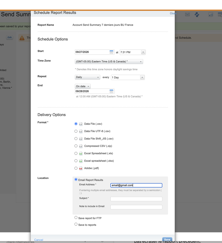 Scheduling and delivery options of a standard report in Marketing Cloud Engagement